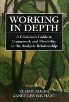 Working in Depth: A Clinician's Guide to Framework and Flexibility in the Analytic Relationship 076570160X Book Cover