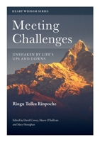 Meeting Challenges: Unshaken by Life's Ups and Downs 0995734321 Book Cover