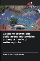 Gestione sostenibile delle acque meteoriche urbane a livello di sottocapitolo (Italian Edition) 6207925785 Book Cover
