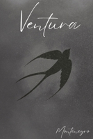 Ventura B0CN6177GK Book Cover