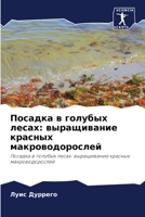 Посадка в голубых лесах: k 6205699028 Book Cover