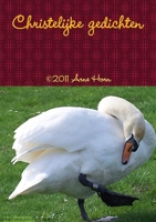 Christelijke gedichten (Dutch Edition) 1447518500 Book Cover