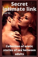 Secret intimate link (vol 16): Collection of erotic stories of sex between adults B088BJR96W Book Cover