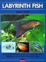 Labrynth Fish 0812056353 Book Cover
