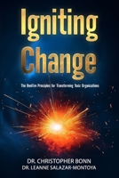 Igniting Change: The BonFire Principles for Transforming Toxic Organizations B0CNS4K2CF Book Cover