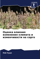Оценка влияния изменени& 6205711605 Book Cover