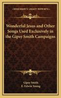 WONDERFUL JESUS AND OTHER SONGS USED EXCLUSIVELY IN THE GIPSY SMITH CAMPAIGNS A Splendid Collection of Useful Gospel Songs for the Church, the Sunday School, the Home, and Evangelistic Campaigns 1162639687 Book Cover