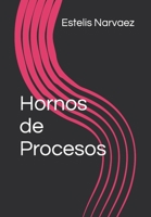 Hornos de Procesos B09NRJT8GS Book Cover