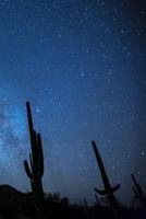 MILKY WAY WITH CACTUS: The Milky Way is the galaxy that contains our Solar System. The name describes the appearance from Earth: a hazy band of light ... individually distinguished by the naked eye. 1799059367 Book Cover