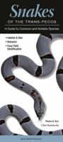 Snakes of the Trans-Pecos: A Guide to Common & Notable Species 0982885679 Book Cover