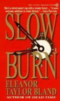 Slow Burn (Marti MacAlister Mystery) 0312092377 Book Cover