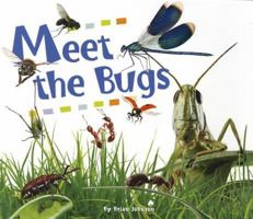 Meet the Bugs 1622670043 Book Cover