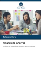 Finanzielle Analyse (German Edition) 6206999262 Book Cover