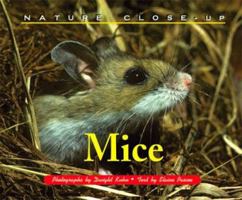 Nature Close-Up - Mice 1410305376 Book Cover