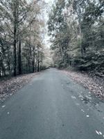 Driving Down Dark Roads B0DSTYRLP8 Book Cover