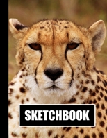 Sketchbook: Cheetah Cover Design White Paper 120 Blank Unlined Pages 8.5 X 11 Matte Finished Soft Cover 1705851304 Book Cover