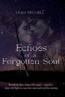 Echoes of a Forgotten Soul B0F83XN24P Book Cover