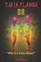 QUESTIONS TWIN FLAME NEWBIES ASK: Signs of Meeting a Twin Flame 1079321470 Book Cover