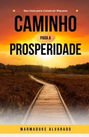Caminho para a Prosperidade: Seu Guia para Construir Riqueza (Portuguese Edition) B0DTWCHLMN Book Cover