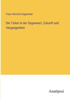 Die Türkei in der Gegenwart, Zukunft und Vergangenheit 3382031361 Book Cover