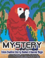 Mystery Colors Creative Color By Number & Discover Magic: Mysterious stress relief and relaxation pattern. An adult color by number coloring book B09TDPTMXZ Book Cover