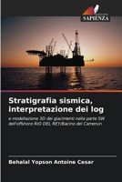 Stratigrafia sismica, interpretazione dei log: e modellazione 3D dei giacimenti nella parte SW dell'offshore RIO DEL REY/Bacino del Camerun 620587282X Book Cover