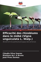 Efficacité des rhizobiums dans le niébé (Vigna unguiculata L. Walp.) (French Edition) 6208281318 Book Cover