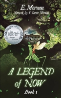 A LEGEND of NOW: Wingless 0578444062 Book Cover