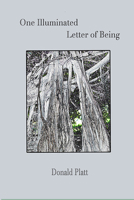 One Illuminated Letter of Being 1952204011 Book Cover