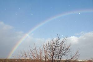 The Creator and His Creations- From My Eyes- The Promise: " His World, His Word, and His Way Equals His Promise " B0F3N3XJ32 Book Cover