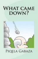 What came down? 1533606099 Book Cover