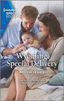 Wyoming Special Delivery 1335894489 Book Cover