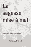 La sagesse mise à mal: aphorismes et autres réflexions (French Edition) B0F6N6DKCJ Book Cover