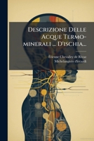 Descrizione Delle Acque Termo-minerali ... D'ischia... (Italian Edition) 1024727939 Book Cover