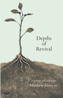 Depths of Revival B0DZ12394P Book Cover