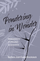 Pondering in Wonder: Contemplations of a Mountain Contemplative 1977232396 Book Cover
