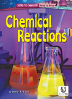 Chemical Reactions B0BHBZCJDF Book Cover