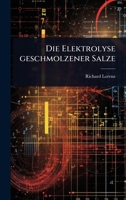 Die Elektrolyse geschmolzener Salze (German Edition) 1024879496 Book Cover