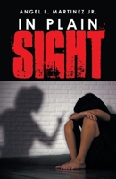 In Plain Sight 1669862798 Book Cover