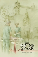 The Divine Spark 0595159664 Book Cover