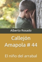 Callejón Amapola # 44: El niño del arrabal B0942MLP8Z Book Cover