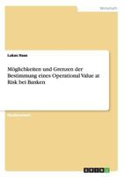 M�glichkeiten und Grenzen der Bestimmung eines Operational Value at Risk bei Banken 3640861728 Book Cover