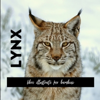 Lynx: Libro illustrato per bambini B0CQRT7ZNQ Book Cover