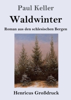 Waldwinter (Großdruck): Roman aus den schlesischen Bergen (German Edition) 384785951X Book Cover