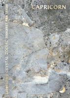 Llewellyn's Crystal Zodiac Capricorn 0738782548 Book Cover