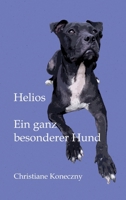 Helios: Ein ganz besonderer Hund 3347025067 Book Cover