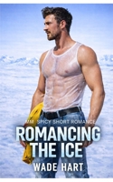 Romancing The Ice: MM Spicy Short Romance (Gays of Palmer Station) B0GW31SC75 Book Cover