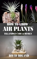 HOW TO GROW AIR PLANTS: Tillandsia Care and Design B089D19GP4 Book Cover