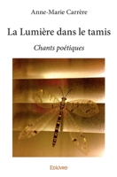 La Lumière dans le tamis (French Edition) 2414060476 Book Cover