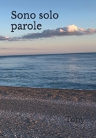 Sono solo parole (Italian Edition) B0DTHZ7696 Book Cover